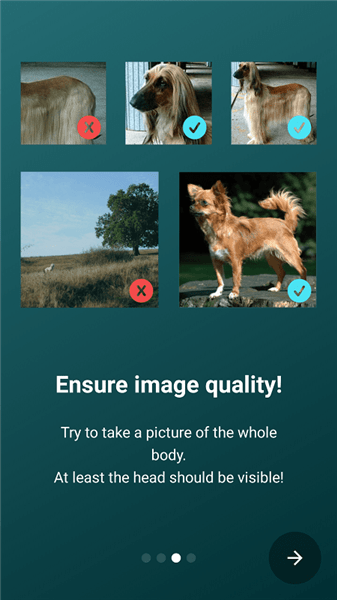 狗狗鉴定器app v17.2.1-G 安卓版0