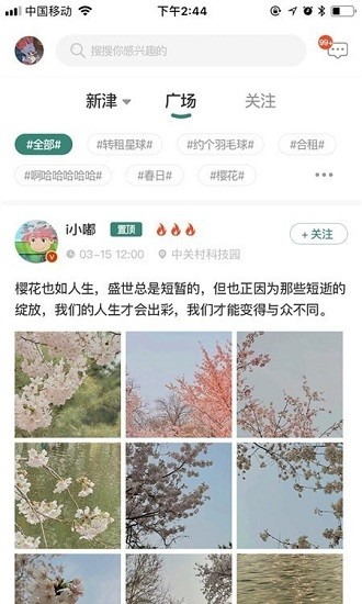 成都新津app