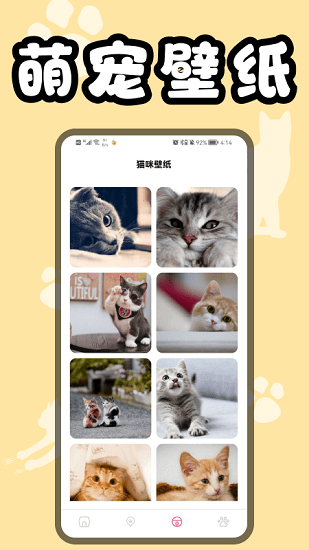 猫猫翻译器软件 v1.1 安卓版1