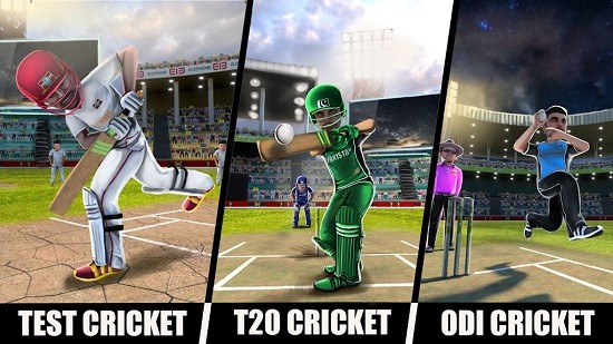 rvg世界板球沖突手游(rvg cricket lite) v1.0 安卓版 2