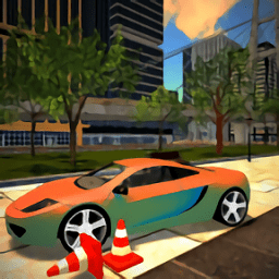 城市停车模拟器游戏(City Car Parking Simulation)