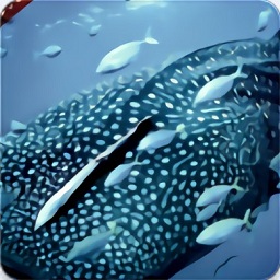 鲸鱼壁纸app(Whale Wallpaper)