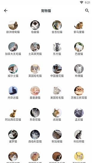 动植物大全app中文 v1.0.4 安卓版2