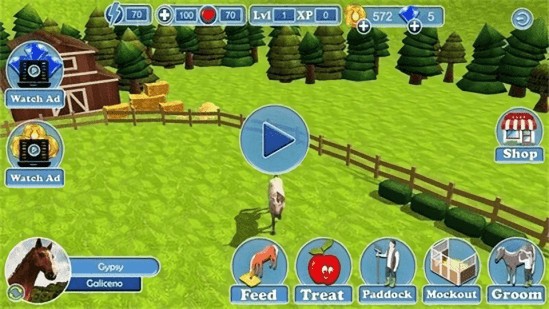 真实马术世界3d(Horse Jumping 3D) v0.5 安卓版1