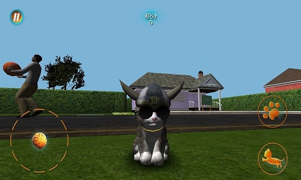 真实小猫3d模拟手游 v1.0.2 安卓版0