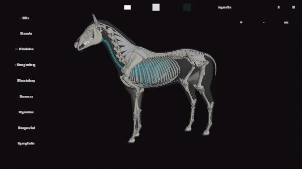 馬匹解剖模擬器3d(3D Horse Anatomy Software) v1.2 安卓版 3