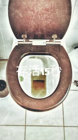 廁所飛人手游(Toilet Racer)3