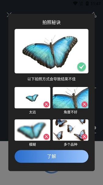 Picture Insect 精簡版 v2.7.9 安卓最新版 1