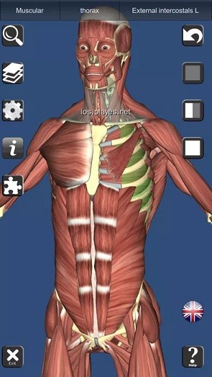 anatomy learning(人衛(wèi)3d解刨學(xué)) v2.1.349 安卓版 0