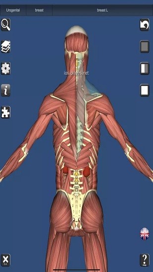 anatomy learning(人衛(wèi)3d解刨學(xué)) v2.1.349 安卓版 2