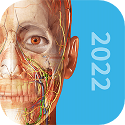 人体解剖学图谱2022