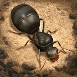 荒野蚂蚁模拟手游