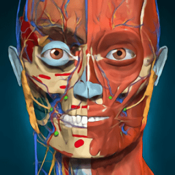 anatomy learning(人衛(wèi)3d解刨學)