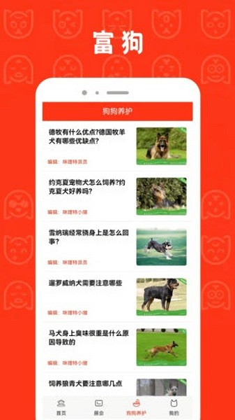 富狗官方app