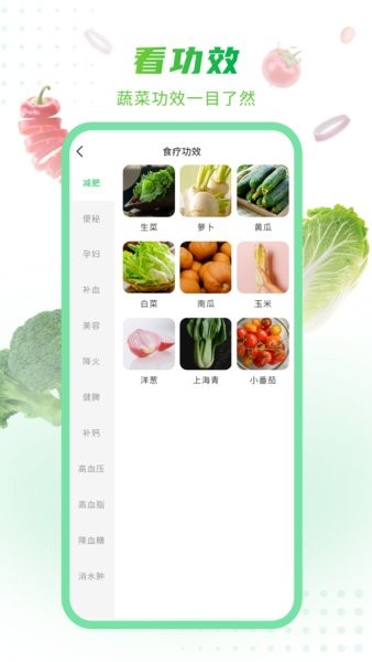 有机蔬菜大全 v1.0.2 安卓版1