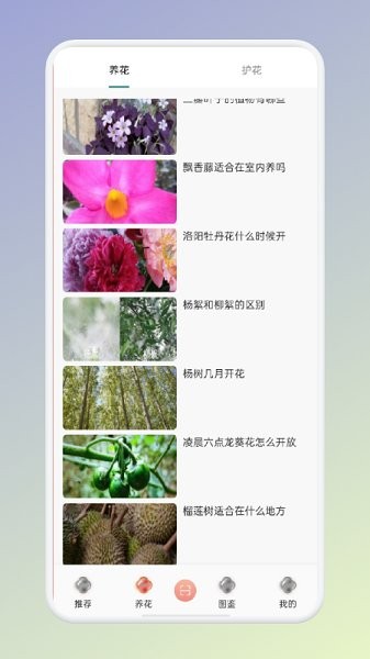 拍照识花识别植物app v1.1 安卓版0