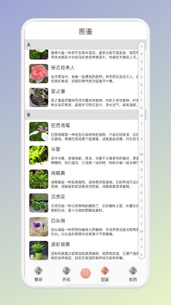 拍照识花识别植物app v1.1 安卓版1
