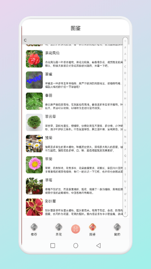 拍照識別花草軟件 v1.1 安卓版 1