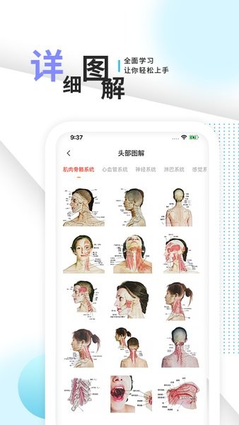 3d人体解剖学三维图谱app v1.3 安卓版1
