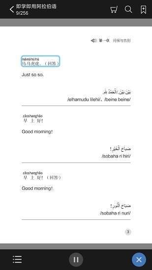 即学即用阿拉伯语apk v2.95.19 安卓版1