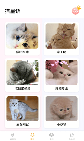 猫语狗语翻译神器软件