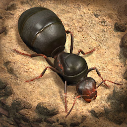 地下蚂蚁帝国手机版游戏
