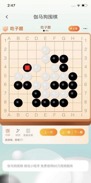 伽馬狗圍棋0