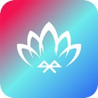 智燈