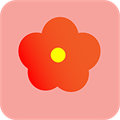 小紅花WIFI