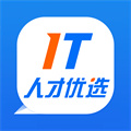 IT人才優(yōu)選