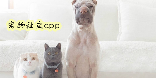 宠物社交app-宠物社交平台有哪些-宠物社交软件推荐