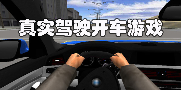 真实驾驶开车游戏有哪些-真实驾驶开车游戏下载大全