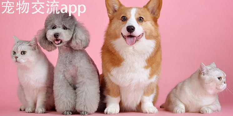 宠物交流app有哪些-宠物交流app推荐免费版