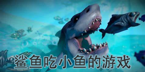 鲨鱼吃小鱼的游戏有哪些-鲨鱼吃小鱼的手机游戏下载