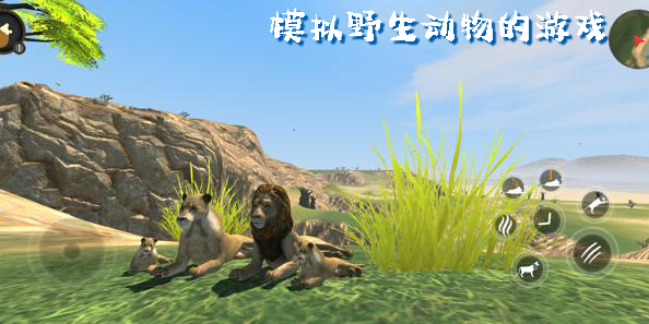 模拟野生动物的游戏