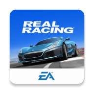 真實(shí)賽車(chē)3最新版本2024(real racing3)