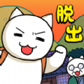 貓與秘寶