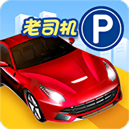 停車入位倒車入庫模擬