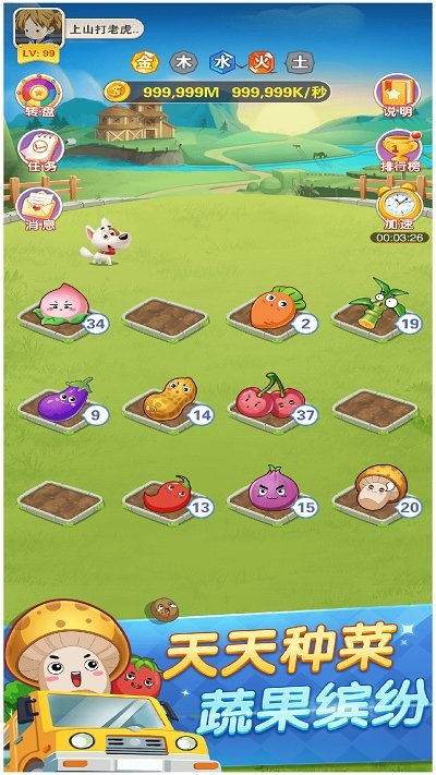 天天種菜