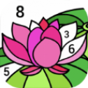 涂畫(huà)花園