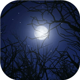 月圓之夜星河宇宙