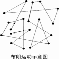 布朗來了