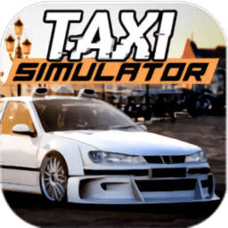 真正的出租車停車場