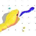 放長線釣大魚
