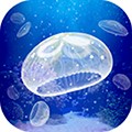 海蜇養(yǎng)成