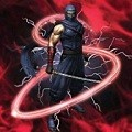A Ninja Warrior
