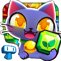 Magic Cats