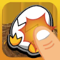 ChickenEggs
