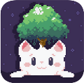 Cat Bird