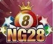 ng28電子游戲